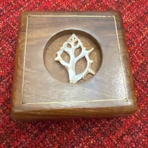 Wooden Box with slice of Shell Design w brass detail